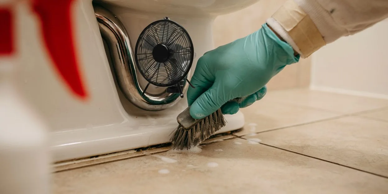 Water damage restoration in Yelm, WA